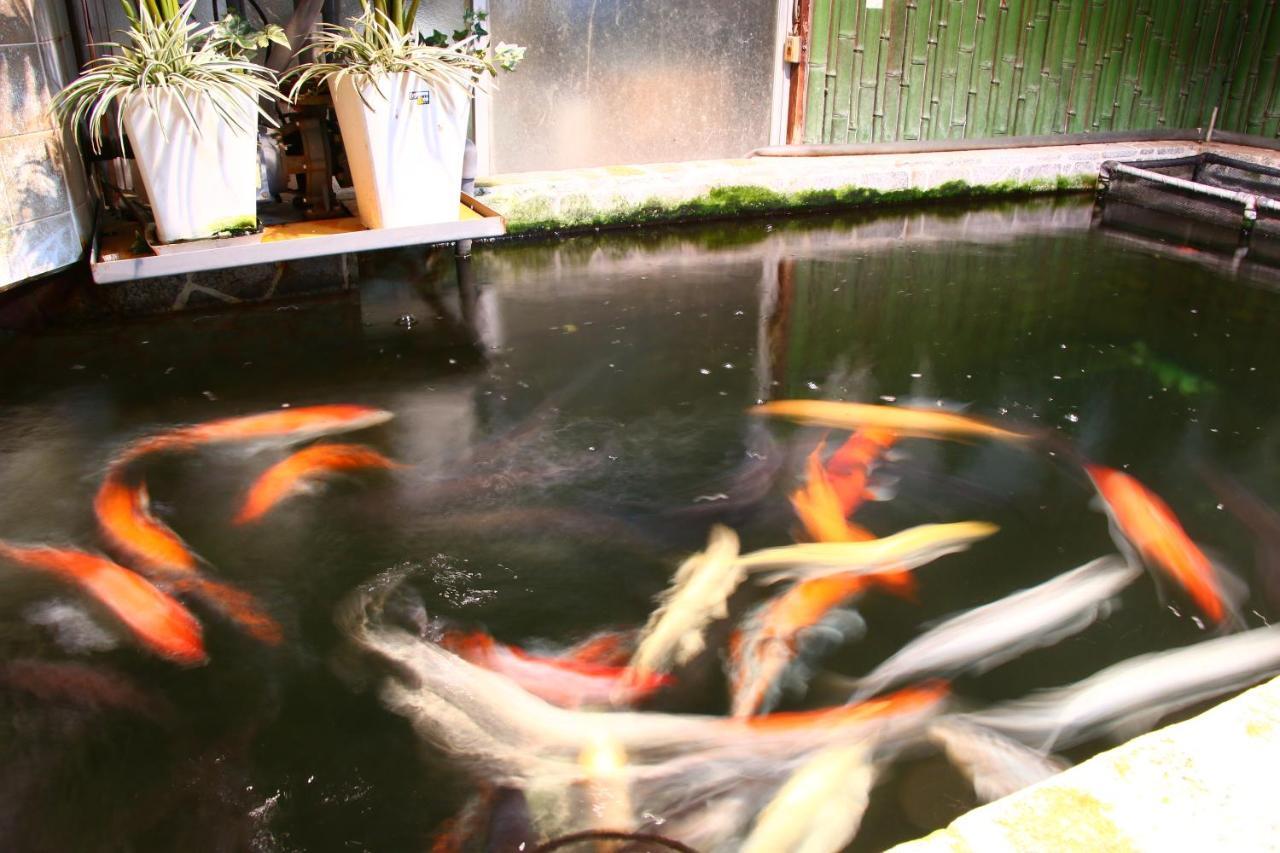 Okui Ryokan Goto Exteriér fotografie